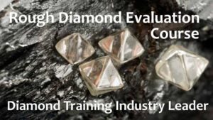 rough-diamond-training-course