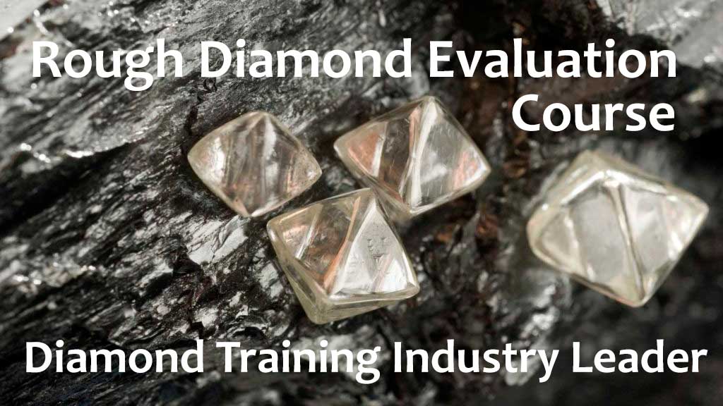 rough-diamond-training-course